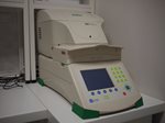 qPCR Bio-Rad IQ5