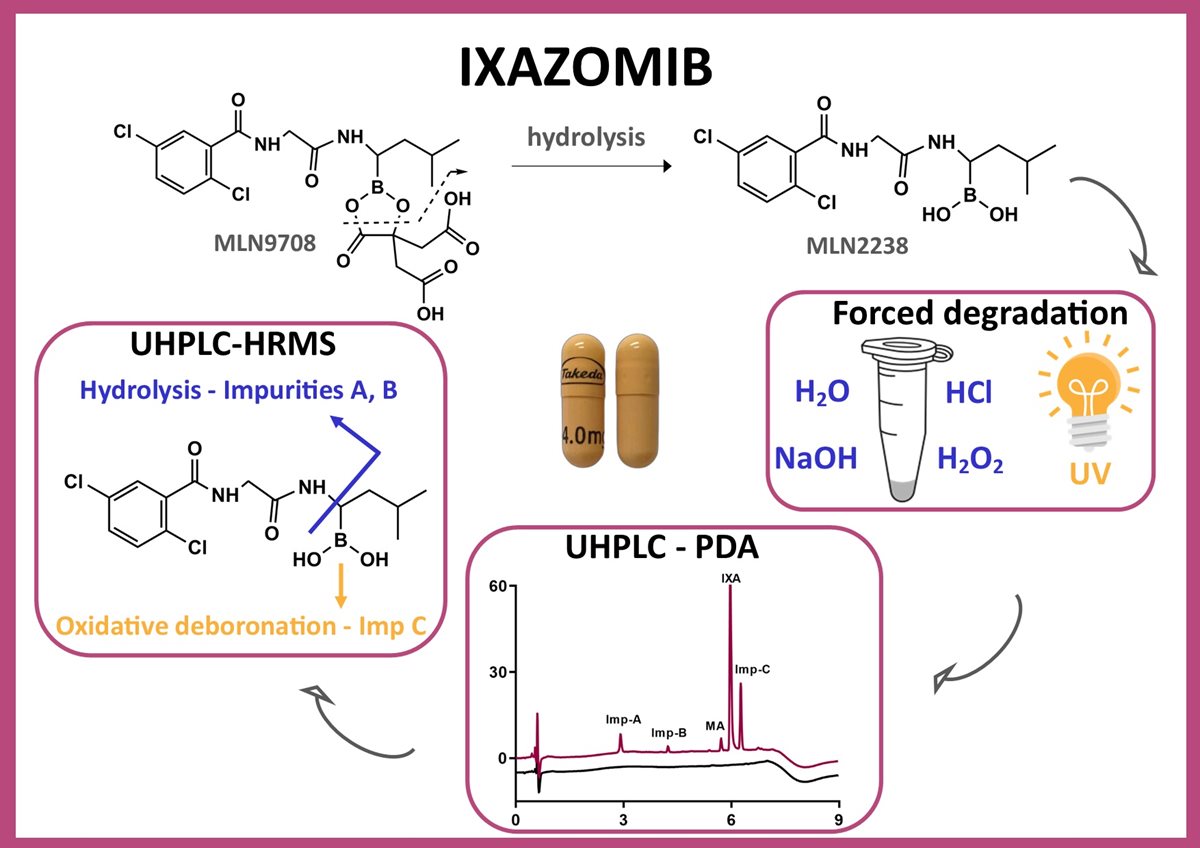 Graphical_abstract-net-(1).jpg Graphical_abstract-net-(1).jpg