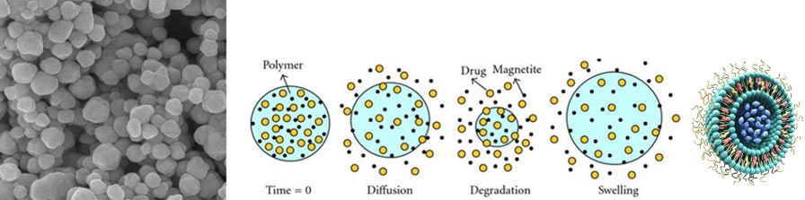 Novel formulation for the delivery of nuclear receptor ligands
