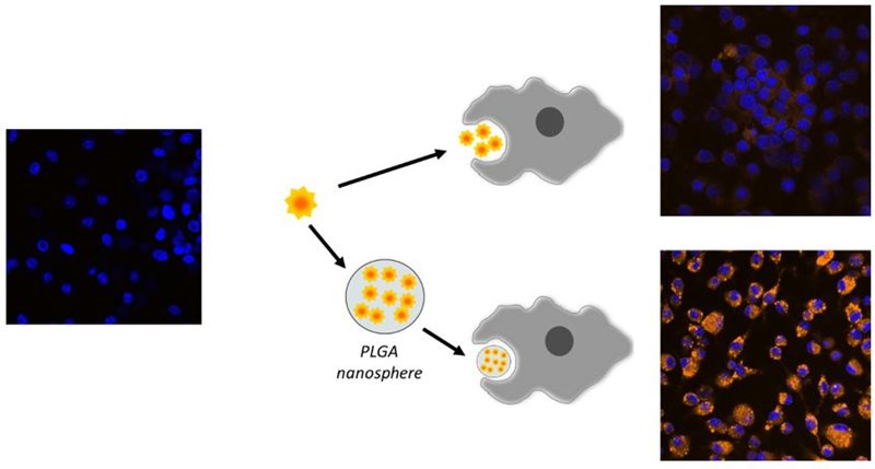 Novel formulation for the delivery of nuclear receptor ligands