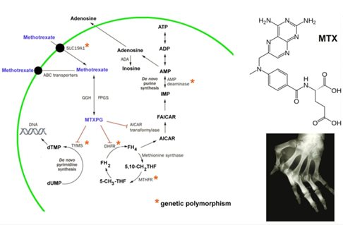Clinical pharmacy and pharmacogenetics