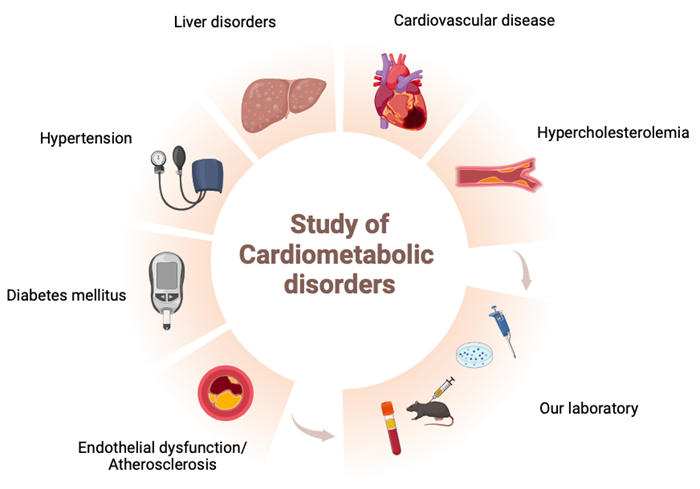 Cardiometabolic-D-(1).png