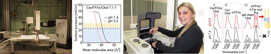 Monolayers-FTIR.jpg