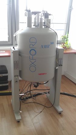 IMAG0347.jpg