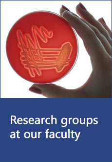 Research groups at our faculty